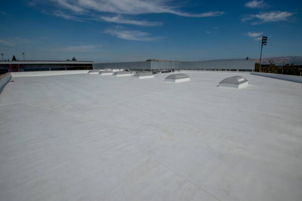 Best Roof Insulation Installation  in Smithville, MO